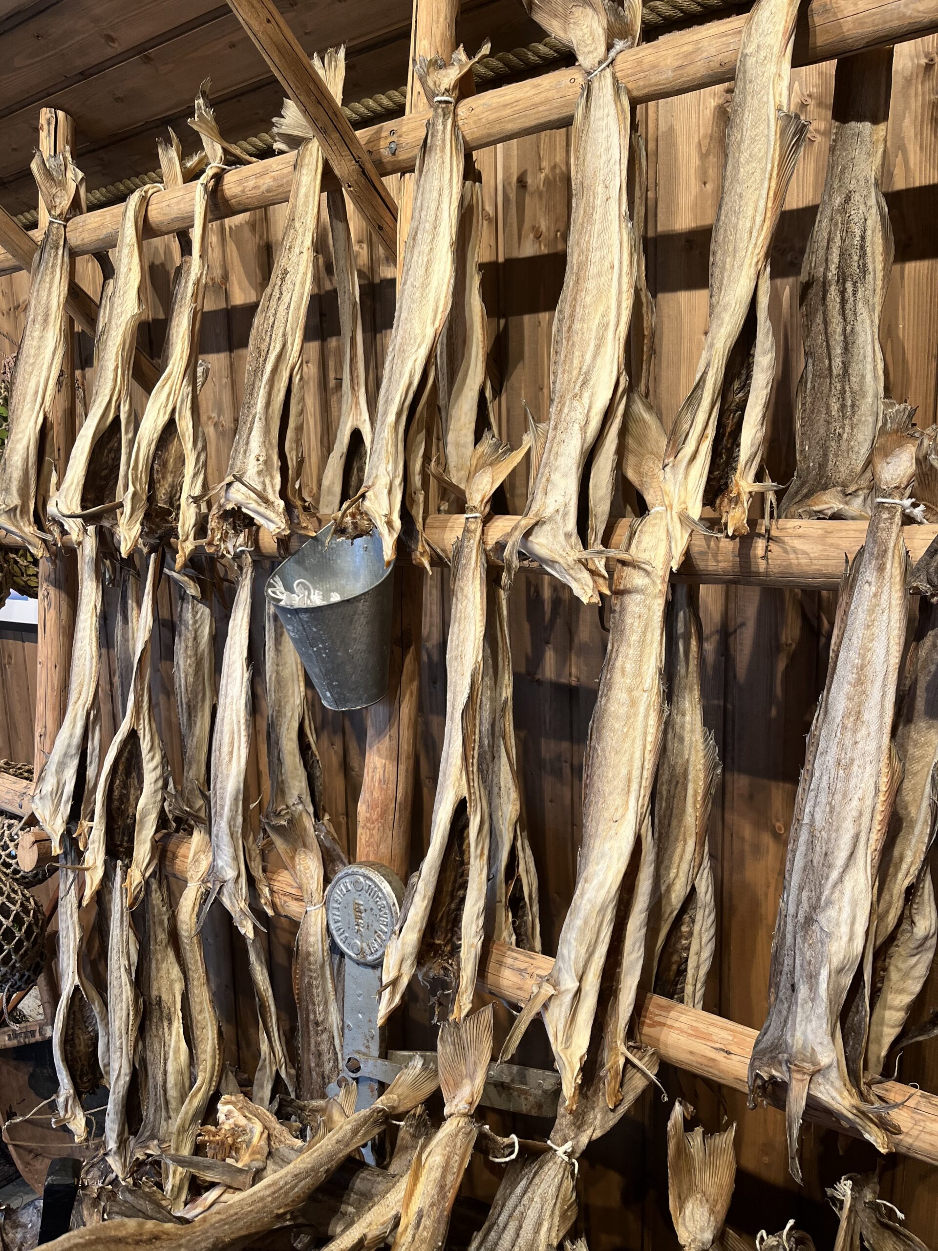 Edukaks ja Ettevõtlikuks Saaremaaks (EES) väikeprojekti toel osaleb Saarevõrk OÜ märtsis Norras toimuval LofotFishing 2025 kalandusmessil. 📍 Kabelvåg, Norra | 2